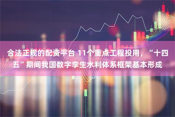 合法正规的配资平台 11个重点工程投用，“十四五”期间我国数字孪生水利体系框架基本形成