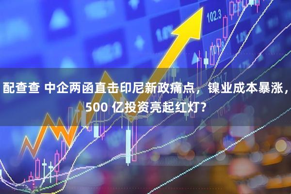 配查查 中企两函直击印尼新政痛点,镍业成本暴涨,500 亿投资亮起红灯?